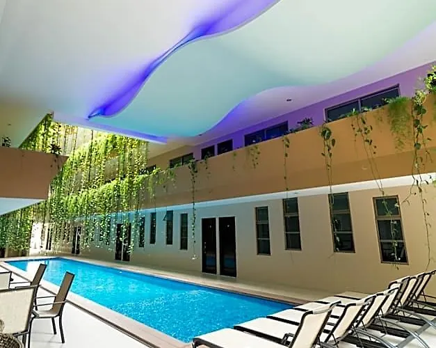 Hotel Palmarena & Residences - Long Comfort With Parking, Sauna, Gym & Pool - Steps From 5th Avenue Playa del Carmen