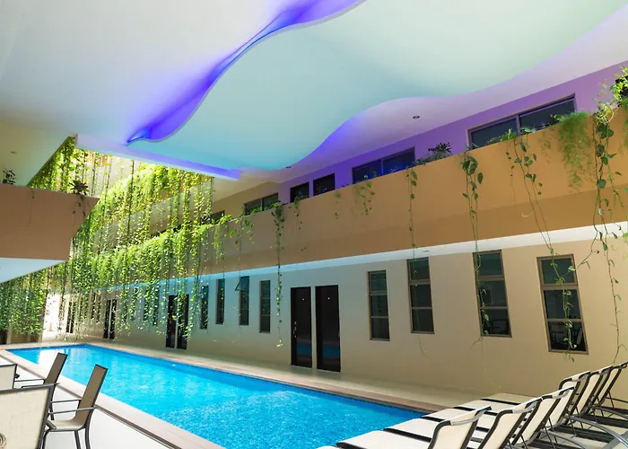 Palmarena & Residences - Long Comfort With Parking, Sauna, Gym & Pool - Steps From 5th Avenue Playa del Carmen